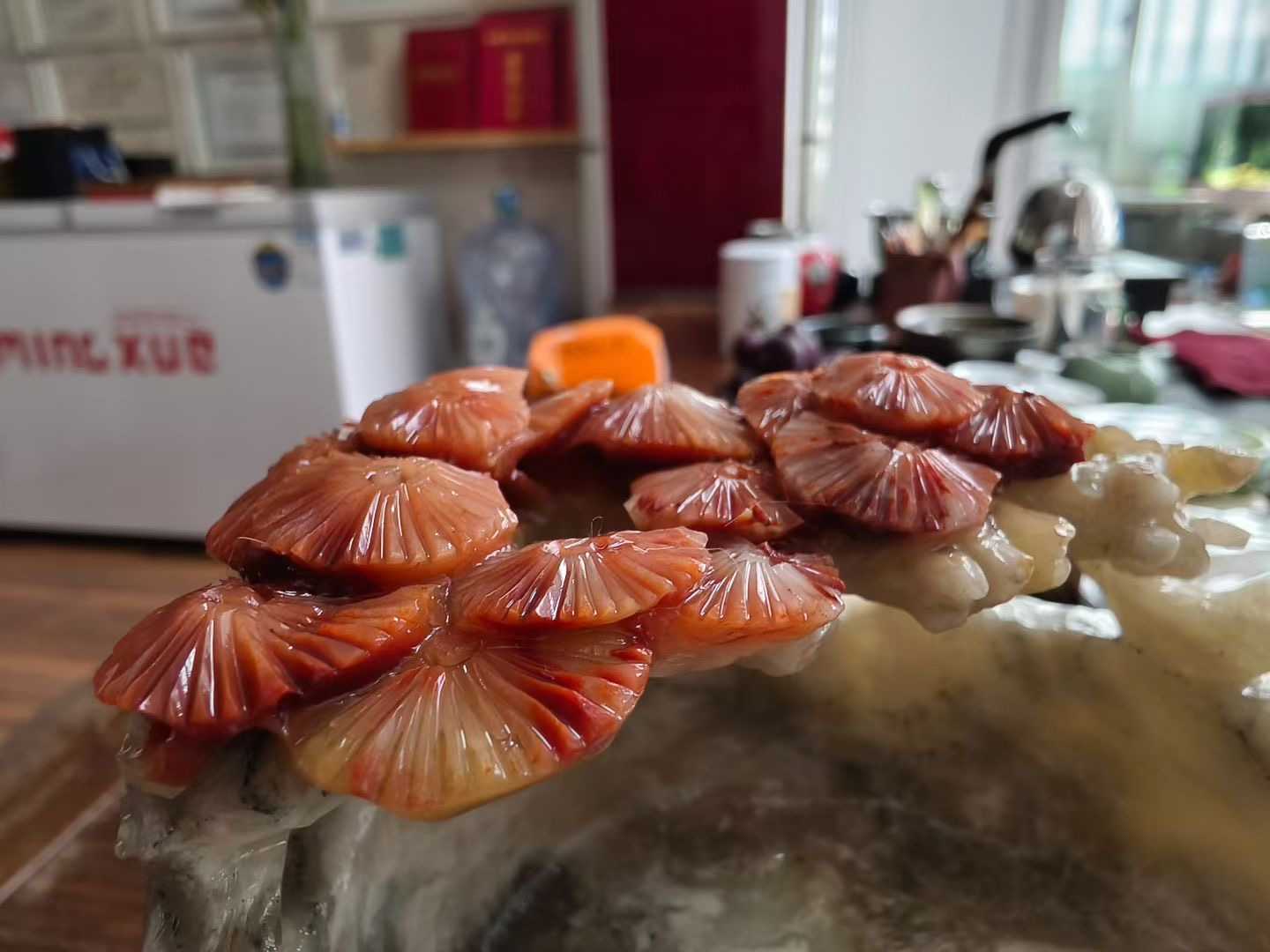 微信图片_20250705102039.jpg